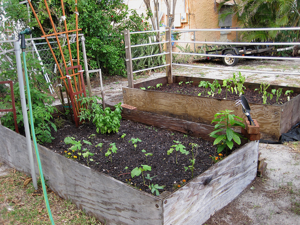 Diy Above Ground Garden Box for Pinterest
