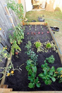 Our Own, Modern, Victory Garden