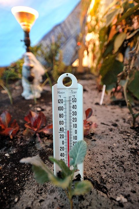 07:00 - The Vegetable Garden Sayed Above Freezing
