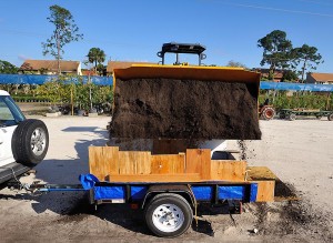 Dirt Cheap: A trailer load of dirt from Art by Nature Garden Center