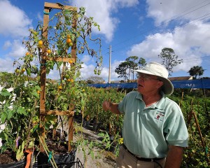 Tim Whelan, owner of Art by Nature Garden Center, explains vegetables.