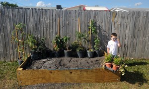 Malcolm Surveys What Will Soon Become Our Raised Backyard Vegetable Garden