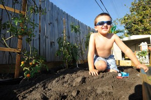 Malcolm is Not Happy I'm Turning His Sand Box and Train Yard Into a Vegetable Garden