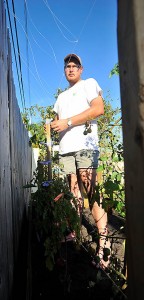 Farmer Matt Ties the Last of the Strings Used to Support the Tomatoes