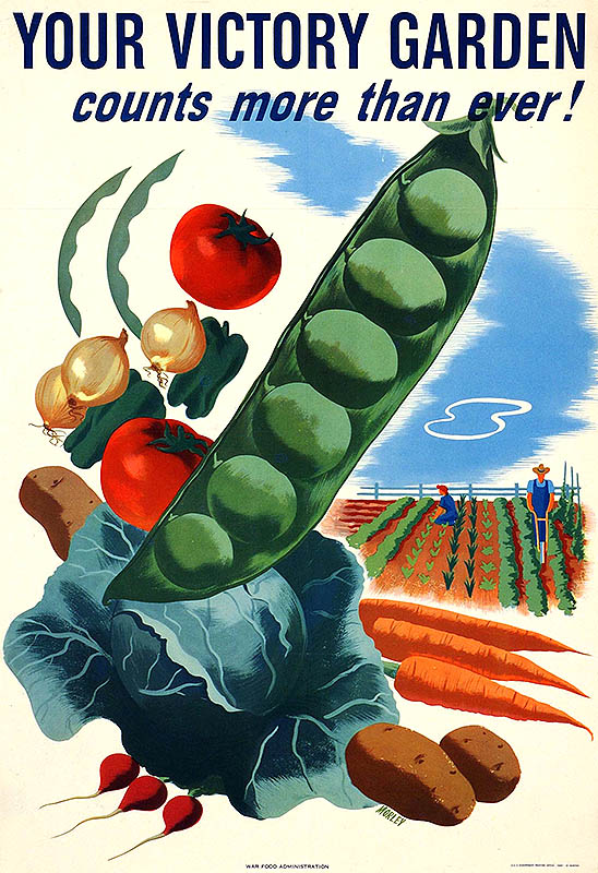 War Food Administration: YOUR VICTORY GARDEN counts more than ever!