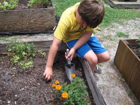 Malcolm weeding