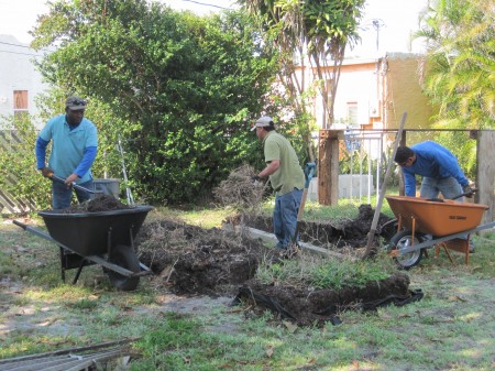 removing old soil