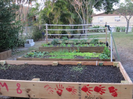 garden boxes