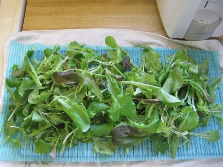 drying lettuce