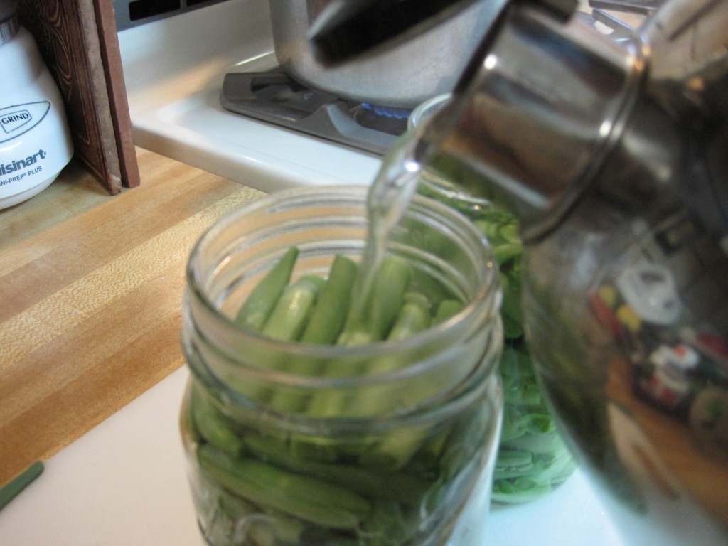 Canning Green Beans