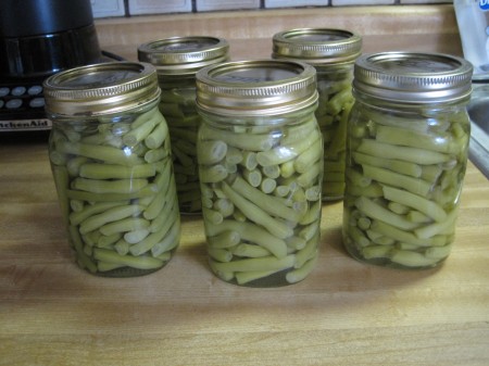 canned beans cooling