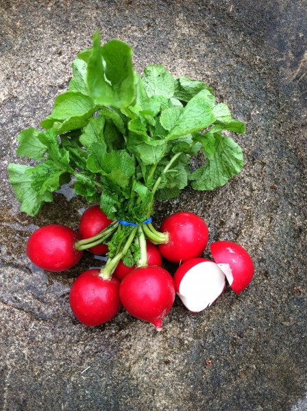 produce stand radishes