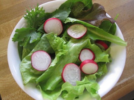radishes in salad