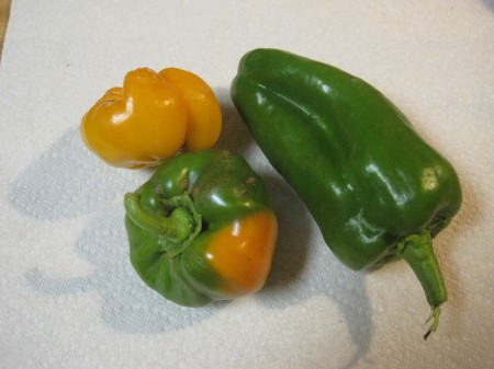 poblano and yellow bell peppers