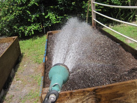 watering empty raised garden