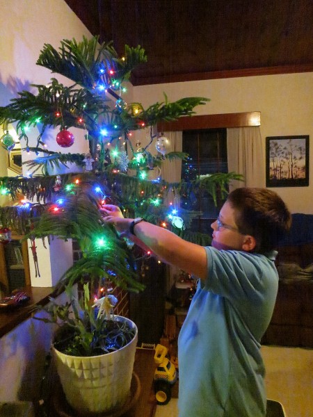 Malcolm decorating tree