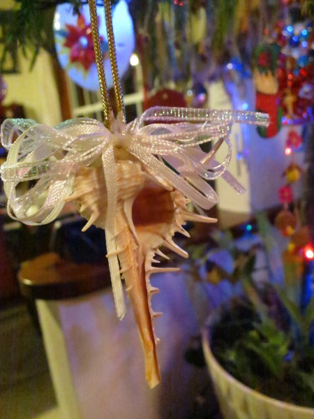 seashell ornament