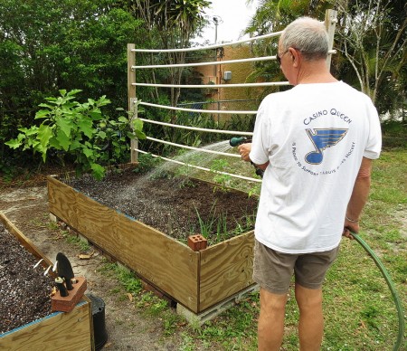 watering garden