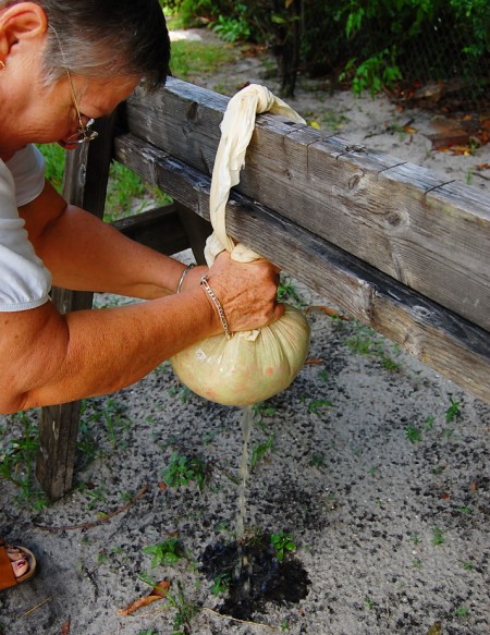 draining veggies