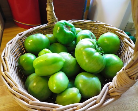 green tomatoes