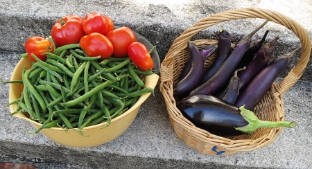 green beans, tomatoes, eggplant