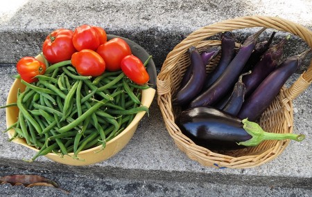 Japanese eggplant