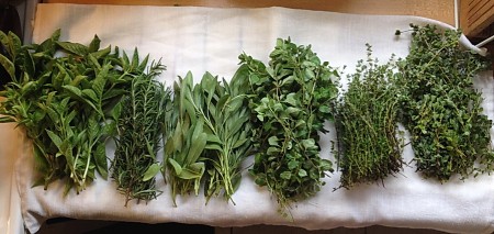 Cut Herbs