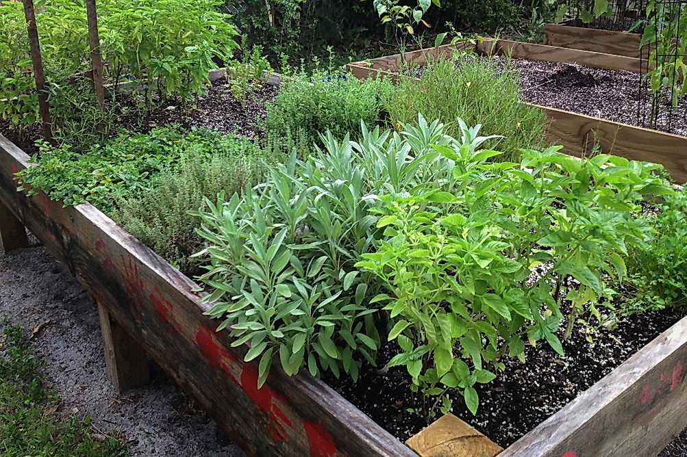 best herb garden ever