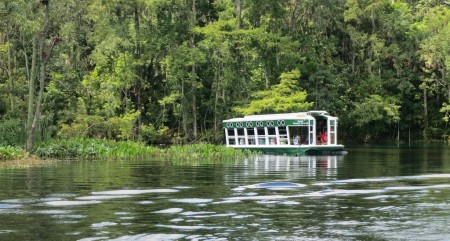 glass bottom boat at Silver Springs State Park